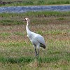 Goose Island State Park